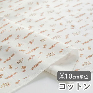 y݌ɌOUTLETzn z w k Rbg/109cm  [Rg  y10cmPʔ̔zy̎qzyԁzy_zyx[VbNzyzyAC{[zԕ 