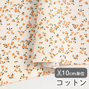 n z w k Rbg/110cm  }_[Y  y10cmPʔ̔zy̎qzyԁzytzykzyK[[zyIWz  flower orange rose o  킢 