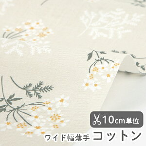 n z w k ChRbg/155cm  Lace flower - lace flower  y10cmPʔ̔zyԁzytzyi`zyx[WzCh L [X ԕ k  킢