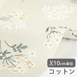 n z w k Rbg/109cm  109 Lace flower - lace flower  y10cmPʔ̔zyԁzytzyi`zyx[Wz 킢 fRNVYIWi ؍