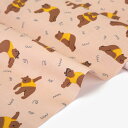 楽天市場 2ページ目 生地 デコレクションズ 生地 布地