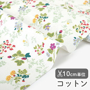 n z w k Rbg/110cm  O[vCX  y10cmPʔ̔zy̎qzyԁzytzyi`zykzyzy΁zԕ O[ vCX t[ flower 