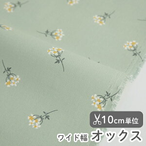 n z w k IbNXn/147cm  ~jt[ - t[  y10cmPʔ̔zyԁzyi`zy΁zԕ [X ԕ ~jt[ mini flower Ch L  