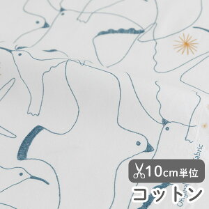 n z w k Rbg/107cm  t[_  y10cmPʔ̔zyj̎qzy̎qzyzyi`zykzyzCgztXfUCi[n   J 