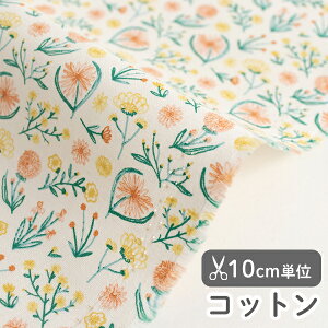 n z w k Rbg/110cm  xW^  y10cmPʔ̔zy̎qzyԁzykzy_zyFztXfUCi[n ԕ vegetal  킢