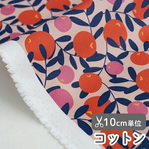 n z w k Rbg/109cm  TZbgt[c  y10cmPʔ̔zy̎qzyʕzy_zy|bvzyIWztXfUCi[n ʕ IW orange T