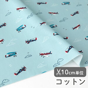 30%OFFN[|BLACK FRIDAYn z w k Rbg/107cm  h[~[tCg  y10cmPʔ̔zyj̎qzy蕨zyzyre[WzyFz tXfUCi[n