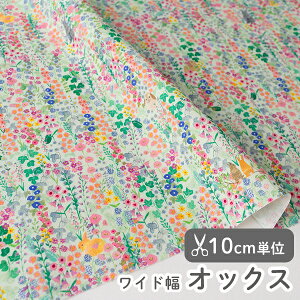 n z w k IbNXn/144cm t@CfBOrbg  y10cmPʔ̔zy̎qzyԁzyzykzy|bvzy΁zfUCi[n LGsmR kiepinoko ԕ 