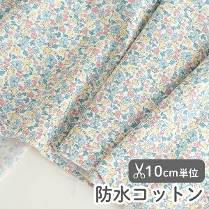 n z w k hRbg/109cm  _ut[  y̎qzyԁzykzyK[[zyCG[zysNz ԕ ԕ   Ƃ bird flower  킢 
