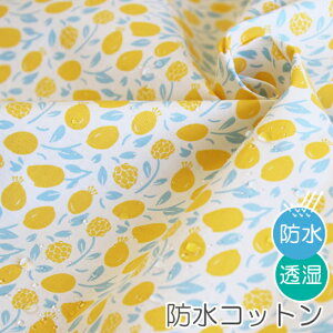 n z w k hRbg/107cm  Honey Lemon  y10cmPʔ̔zy̎qzyԁzyi`zyFz nj[ LbY   ͂  킢 ؍