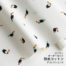 ★5/2まで★生地 布 入園入学 北欧風防水コットン/幅107cm≪ Toucan Friends ≫【10cm単位販売】【動物】【ユニーク】【白】鳥 オオハシ リゾート トロピカル 北欧 おしゃれ かわいい デコレクションズオリジナル 韓国