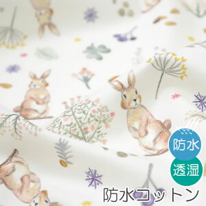 n z w k hRbg/107cm  Milky rabbit  y10cmPʔ̔zy̎qzyi`zyz ~L[rbg ETM LbY   ͂  킢 ؍