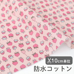���n �z �������w �k���� �h���R�b�g��/��109cm �� �X�g���x���[�p���_�C�X �� �y10cm�P�ʔ̔��z�y���̎q�z�y�ʕ��z�y�s���N�z������ �C�`�S � �� �h�� ���� �͂��� ������� ���킢�� �؍�