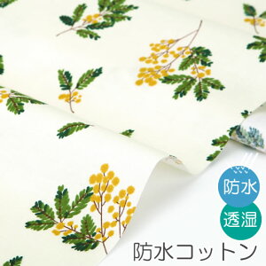 9/16 14:59܂Łn z w k hRbg/108cm  Mimosa  y10cmPʔ̔zyԁzytzyFzykz ~U ͂  킢 ؍