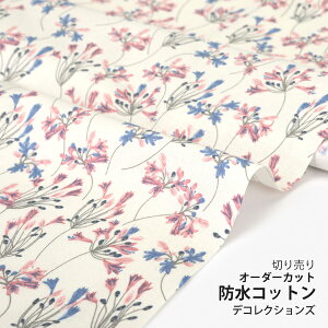 n z w k hRbg/107cm  African lily  y10cmPʔ̔zyԁzyi`zykzyAC{[zAKpTX AtJ[  킢 fRNV