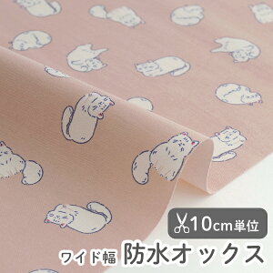 11/11 12:59܂Łn z w k hIbNX/148cm  Ȃ߂炩LeB  y10cmPʔ̔zy̎qzyzykzyre[WzysNz ˂ lR L Lbg cat