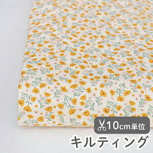 n z w k LeBO/109cm  TZbgt[  y10cmPʔ̔zy̎qzyԁzyi`zyx[VbNzyFzԕ ԕ oeB  킢