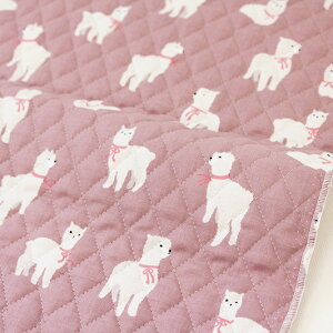 n z w k LeBO/105cm  Alpaca - alpaca  y10cmPʔ̔zy̎qzyzykzysNz ApJ LbY  킢 ؍