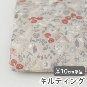 n z w k LeBO/108cm  ubT{^jJ  y10cmPʔ̔zy̎qzyԁzytzykzyre[Wzy΁zyO[zfUCi[n naocom ԕ 