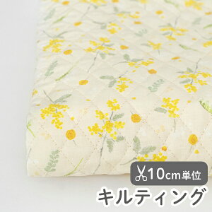 n z w k LeBO/107cm  t҂~Uu[P  y10cmPʔ̔zy̎qzyԁzyʃhbgzykzyre[WzyFzy}X^[hzfUCi[n 