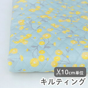 n z w k LeBO/107cm  }gJA  y10cmPʔ̔zy̎qzyԁzyAzy_zykzfUCi[n {a ԕ CG[yO t spring F yel