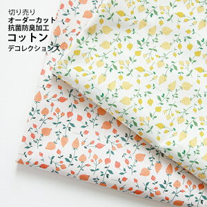 n z w k Rbgn/107cm  Petit berry  RہEhLH y10cmPʔ̔zy̎qzyʕzyi`zyAC{[zyCG[zyIWz x[ t