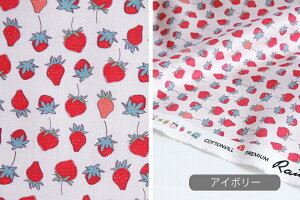 n z w k Rbgn/108cm  Strawberry paradise  RہEhLH y10cmPʔ̔zy̎qzyʕzyK[[zyAC{[zysNzyFz C`S  L