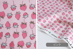 n z w k Rbgn/108cm  Strawberry paradise  RہEhLH y10cmPʔ̔zy̎qzyʕzyK[[zyAC{[zysNzyFz C`S  L