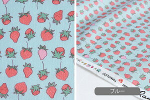 n z w k Rbgn/108cm  Strawberry paradise  RہEhLH y10cmPʔ̔zy̎qzyʕzyK[[zyAC{[zysNzyFz C`S  L
