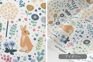 n z w k Rbgn/105cm  Blooming rabbit  RہEhLH y10cmPʔ̔zy̎qzyzyԁzy|bvzyK[[zyi`zyAC{[zyFzy