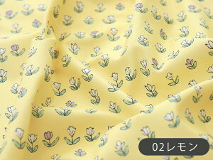 n z w k Rbgn/110cm  `[bvtFXeBo  RہEhLH y10cmPʔ̔zy̎qzyԁzyK[[zyp[vzyCG[zyAC{[z 