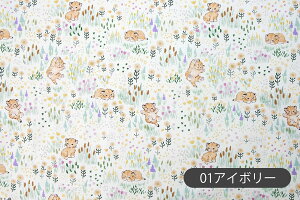 n z w k Rbgn/109cm  X̒̃lR  RہEhLH y10cmPʔ̔zy̎qzyzyԁzyK[[zyAC{[zy΁ztF~j {^jJ tH