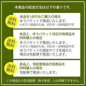 送料無料注意事項【配送方法】ゆうパケット