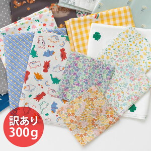 h󂠂h͂ꕟ܁s 300g ty1_̂݃[֑ΉzyʌzyzEnzyN[|szfRNVY󂠂͂