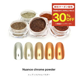 【クーポンで30％OFF】スーパーセール限定 ネイルアート ニュアンスクロムパウダー 全5色 ミラーパウダー ジェルネイル ネイル デコレーション ジェル リングネイル