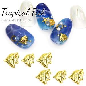 lCp[c gsJtBbVp[c 3 S[h ZtlC WFlC 