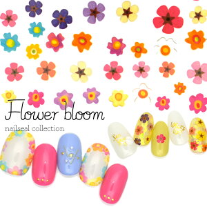 30OFFN[|zzIubNtCf[ EH[^[lCV[ lCV[ t[u[V[ S4 YBV[Y ZtlC WFlC