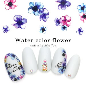 30OFFN[|zzIubNtCf[ lCV[ ʃt[V[ [R145] ZtlC WFlC