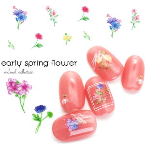 lCV[ A[[XvOt[V[ [E629] ZtlC WFlC