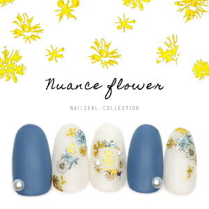 lCV[ jAXt[V[ [HAXX-012/HAXX-013] ZtlC WFlC