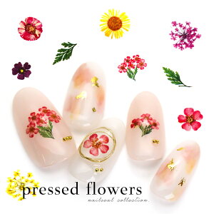 30OFFN[|zzIubNtCf[ yAEgbgizEH[^[lCV[[^Cv] ԕV[ [YZW-3071/3072/3073] ZtlC WFlC