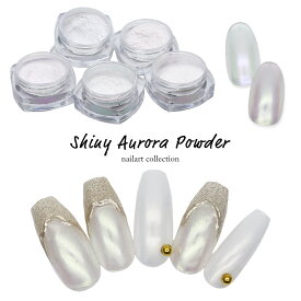 ネイルアート シャイニーオーロラパウダー 全5色 セルフネイル うるうるネイル ジェルネイル