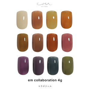 irogel R{WF em 12F 4g ZtlC J[WF VA[ WFlC