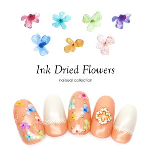 yzN[|zzz12/4i؁j19Jn lCV[ CNhCt[V[ WFlC