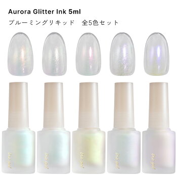 ブルーミングリキッド オーロラグリッターインク 全5色セット