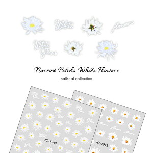 lCV[ i[y^zCgt[V[ S2 ZtlC WFlC