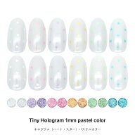 ネイルアート 極小パステルホログラム パウチ入り 約1.5mm 全12種 ジェルネイル