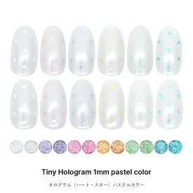ネイルアート 極小パステルホログラム パウチ入り 約1.5mm 全12種 ジェルネイル