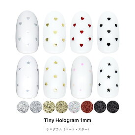 ネイルアート タイニーホログラム 全8種 約0.5g入り ハート 星 セルフネイル ジェルネイル