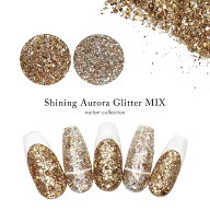 ネイルアート シャイニングオーロラグリッターMIX 全2種 ジェルネイル